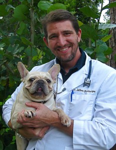 dr-jeff