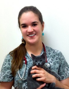 vet_steinmetz